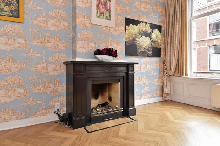 Foto 21 van Obrechtstraat 227