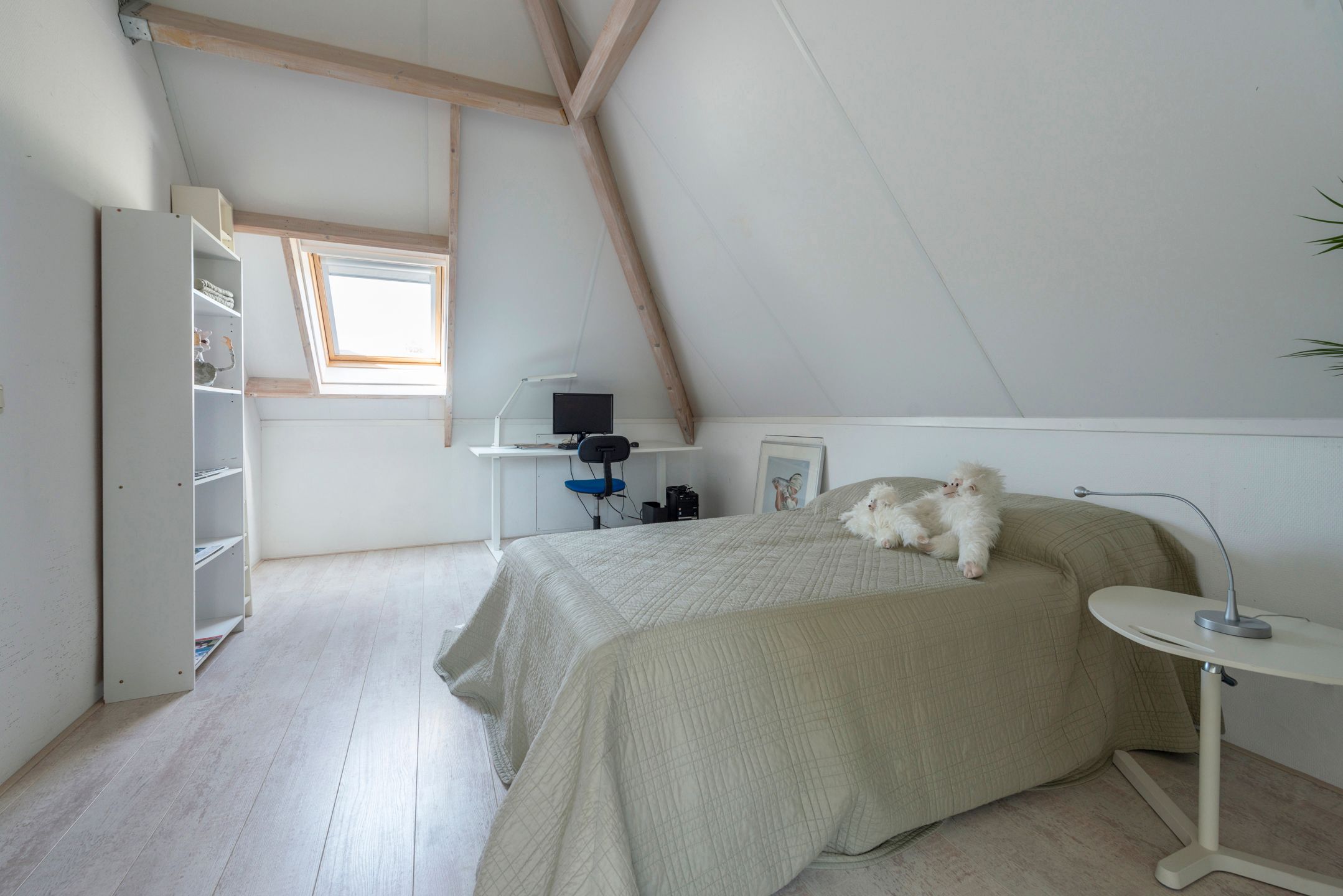 Foto 33 van Tiarastraat 37