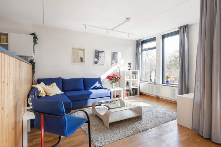 Foto 20 van Petrus Campersingel 31-3