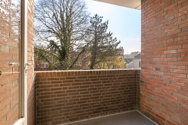 Foto 37 van Petrus Campersingel 31-3