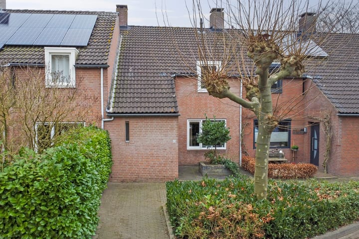 Foto 3 van Wit Hollandven 48