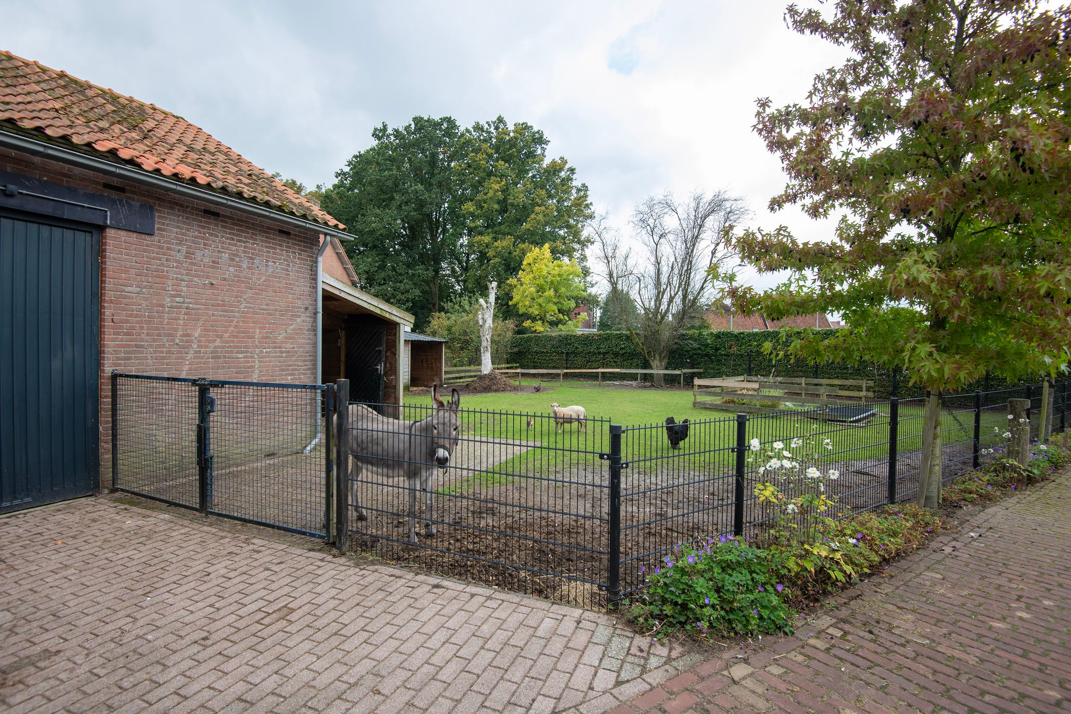 Foto 33 van Berkenlaan 2