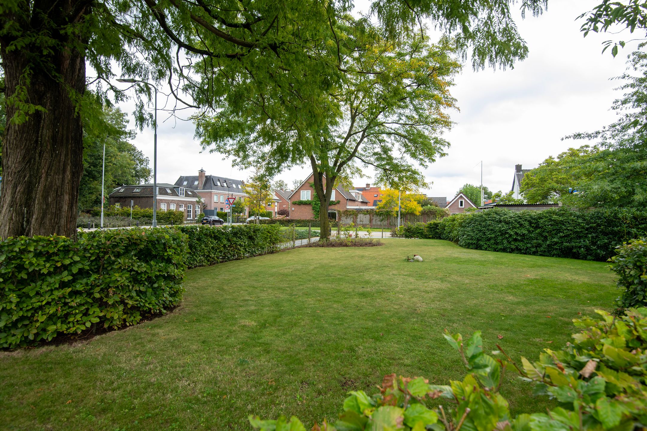 Foto 36 van Berkenlaan 2