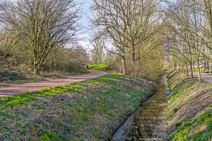 Photo 32 of Drususlaan 159