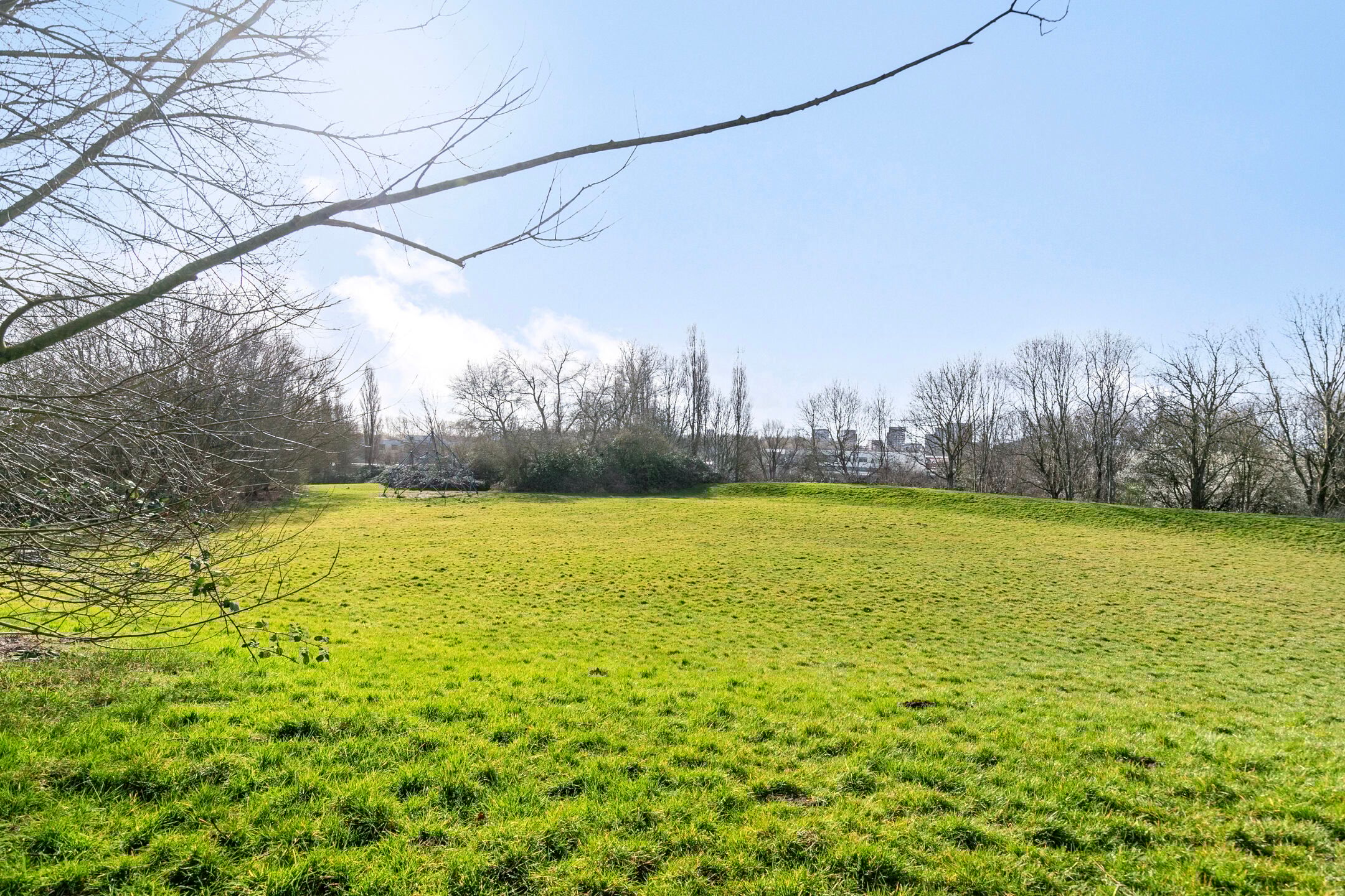 Foto 33 van Drususlaan 159