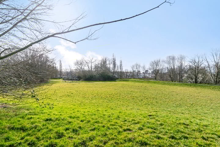 Photo 33 of Drususlaan 159