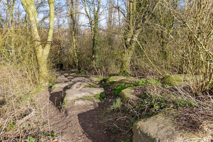 Photo 34 of Drususlaan 159