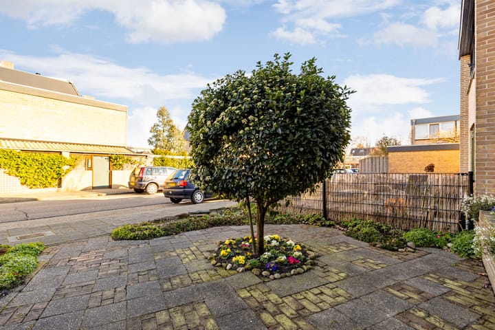 Foto 6 van Enkstein 17