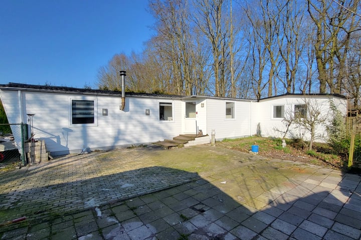 Bekijk foto van Vijverweg 1 224