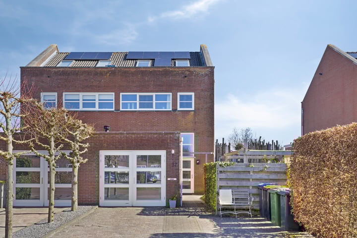 Dilletuin 37