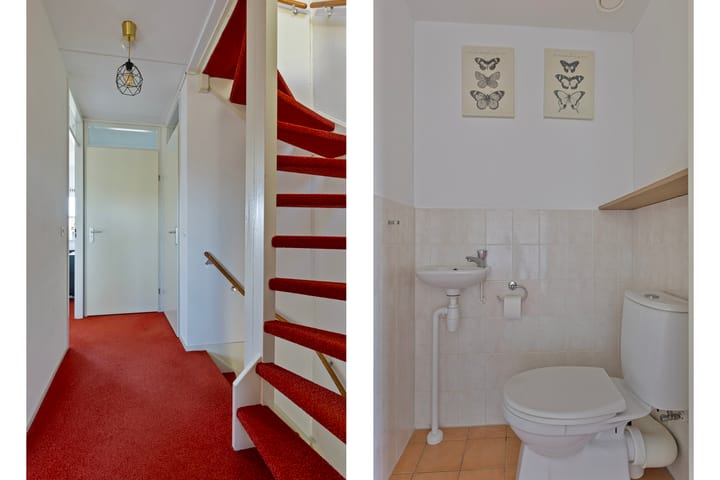 Foto 17 van Dilletuin 37