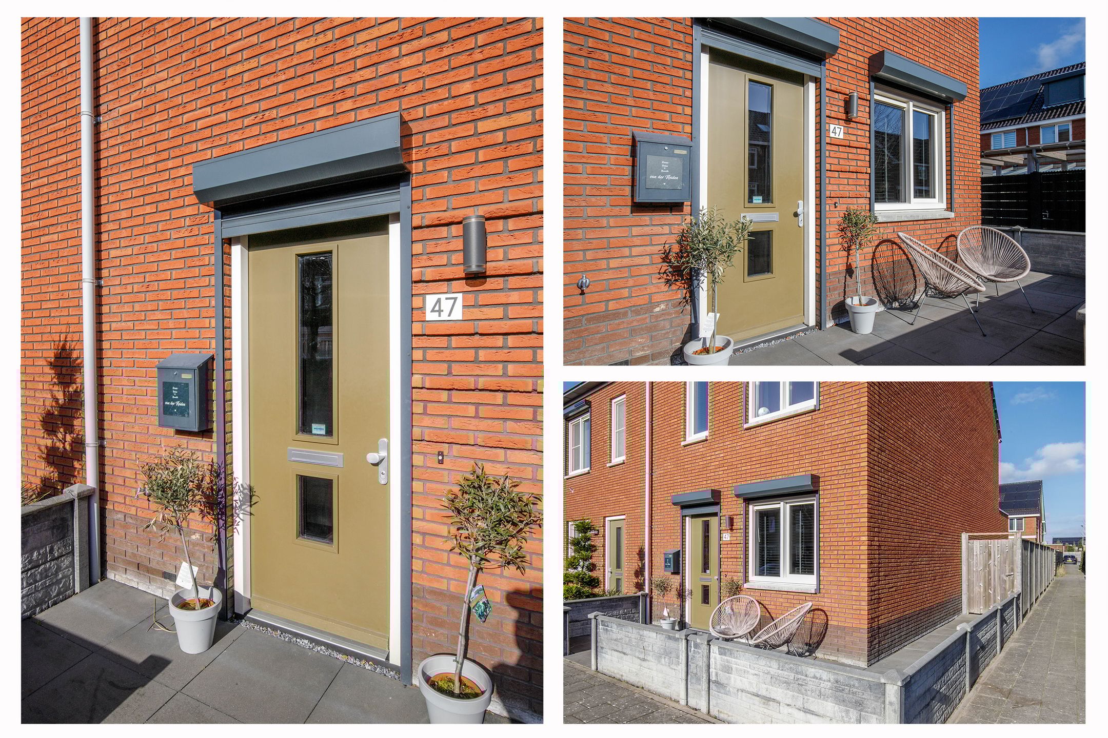 Foto 6 van Kraagroos 47