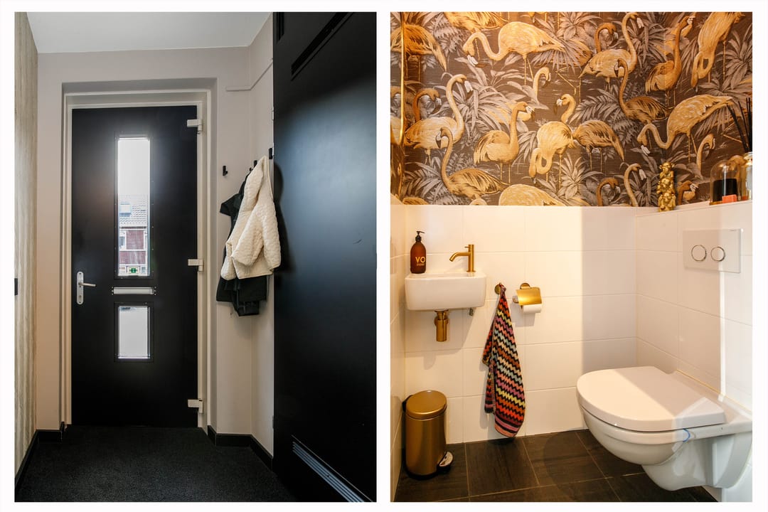 Foto 7 van Kraagroos 47