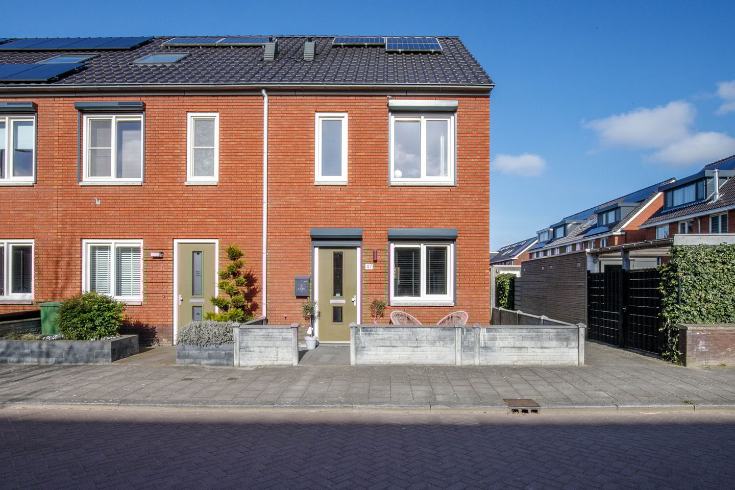 Foto 5 van Kraagroos 47