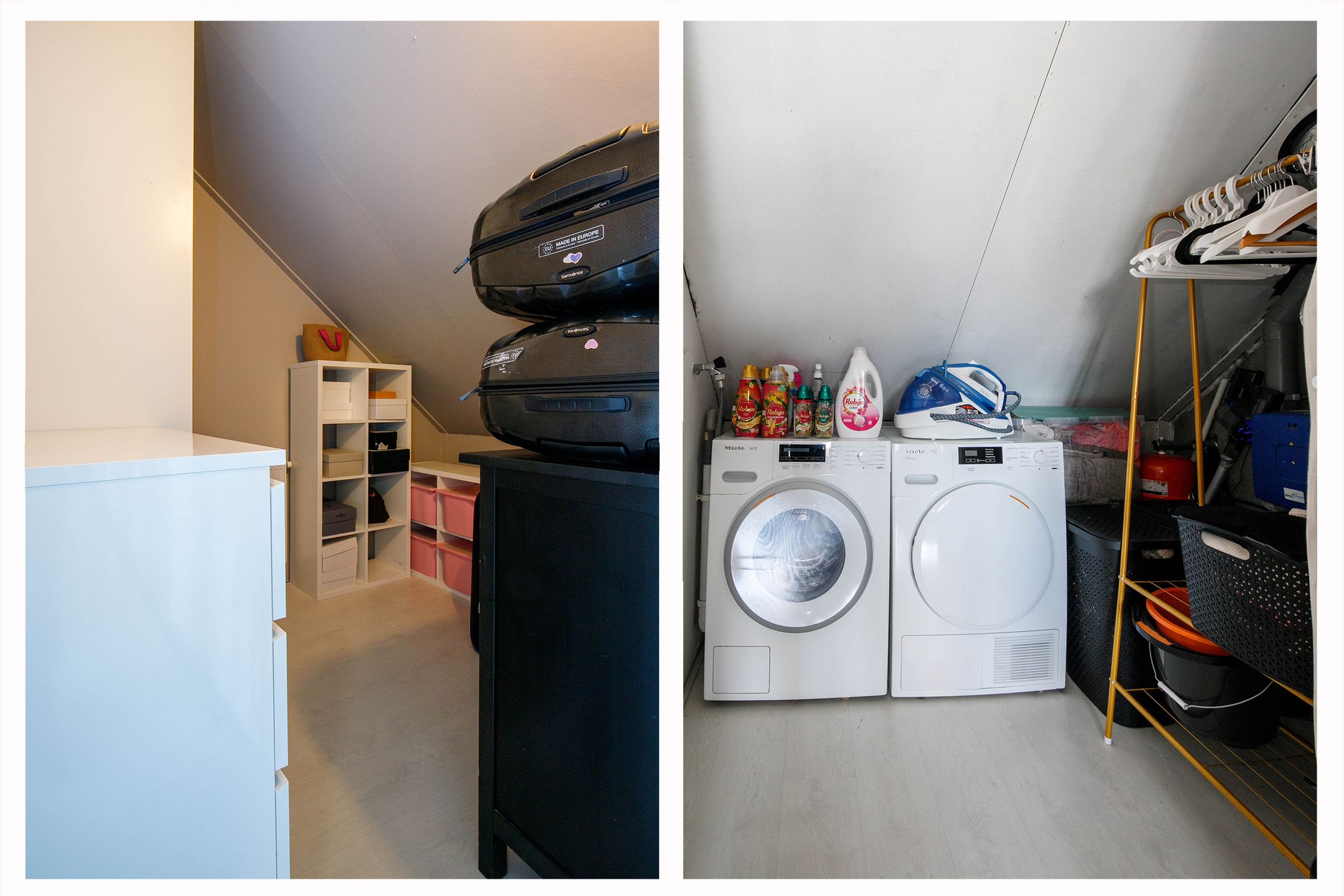 Foto 27 van Kraagroos 47