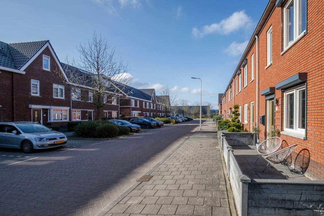 Foto 37 van Kraagroos 47