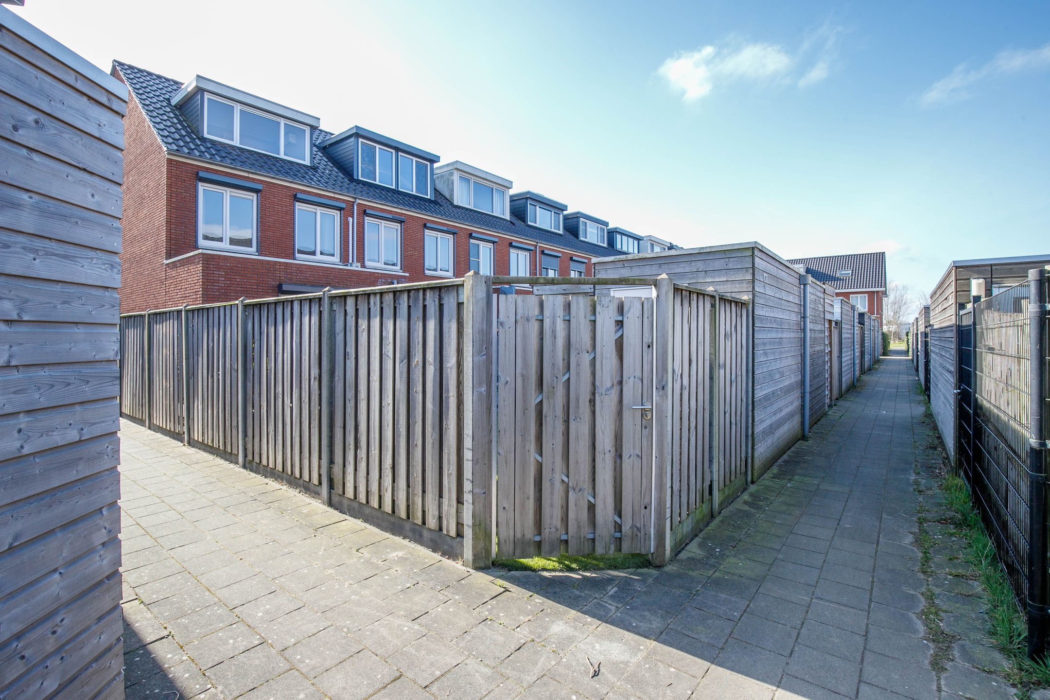 Foto 39 van Kraagroos 47