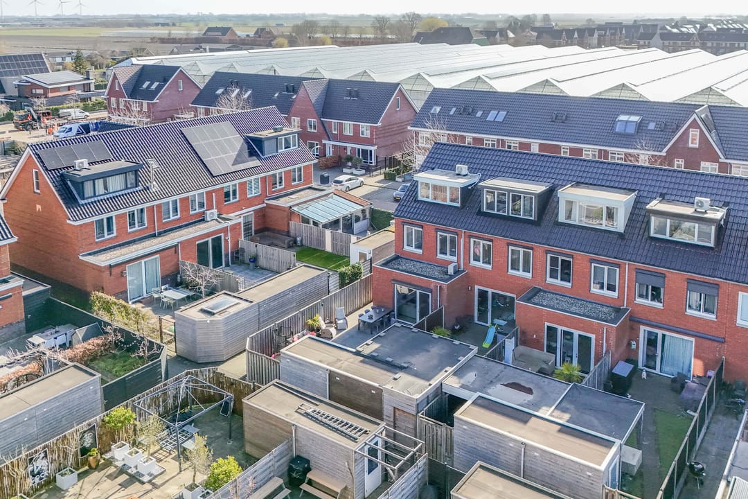 Foto 43 van Kraagroos 47