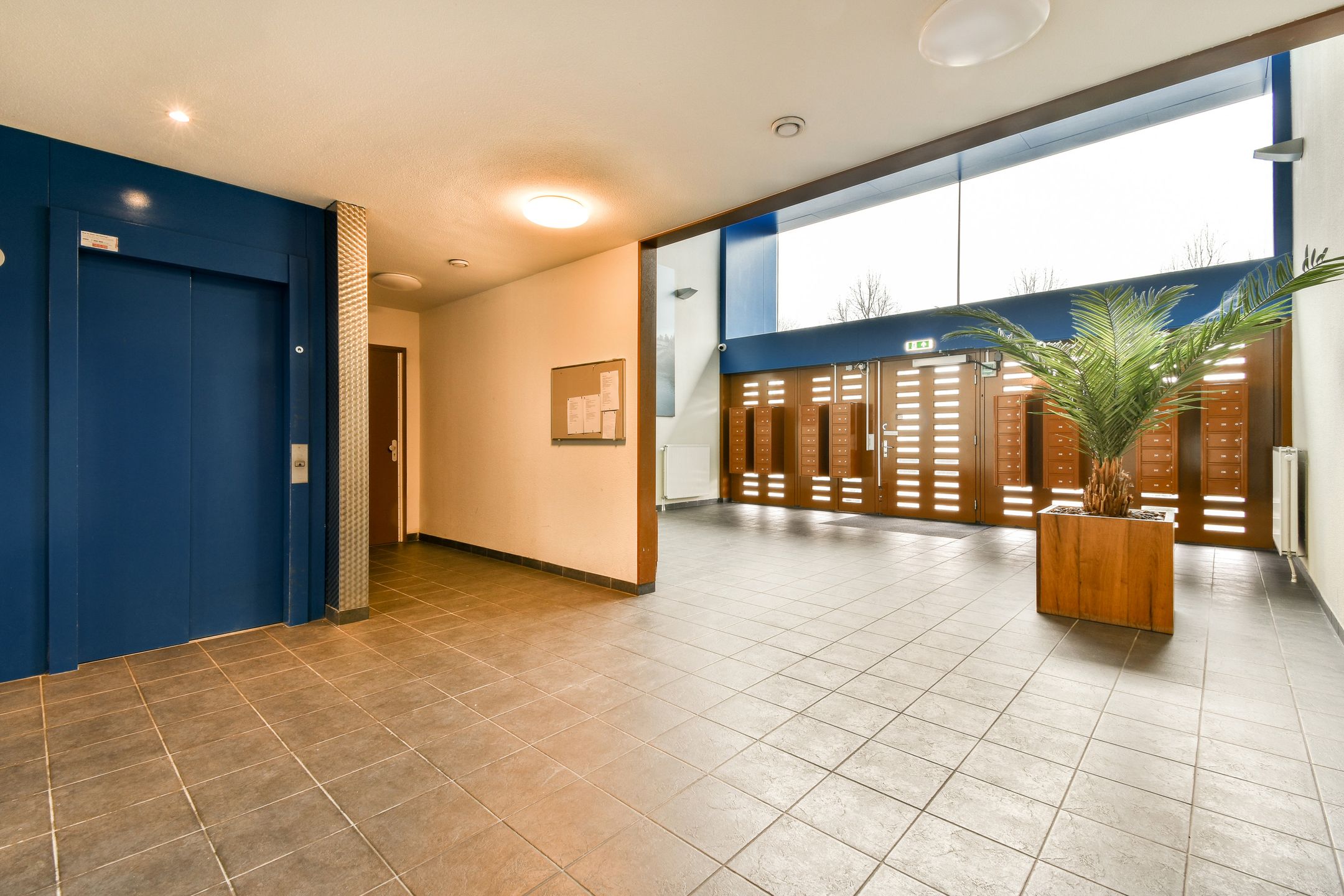 Photo 6 of Anna Blamansingel 240