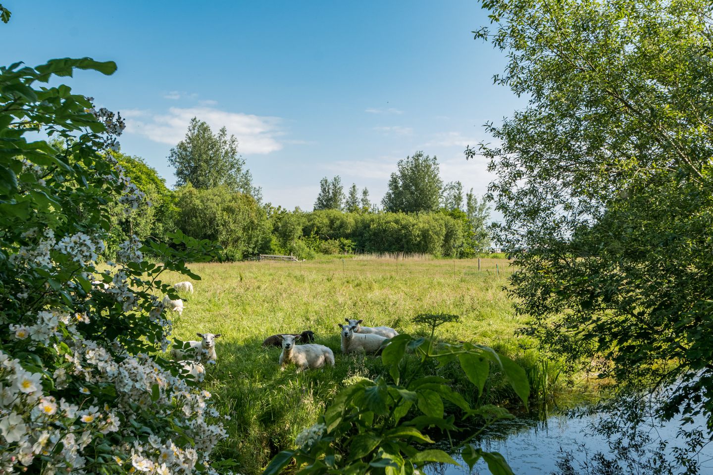 Foto 85 van Blankendalwei 16