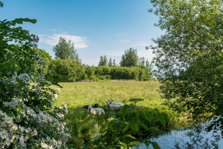 Foto 85 van Blankendalwei 16