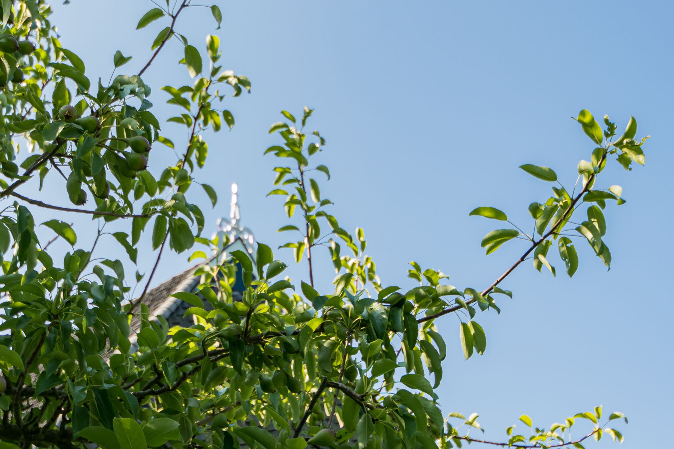 Foto 93 van Blankendalwei 16