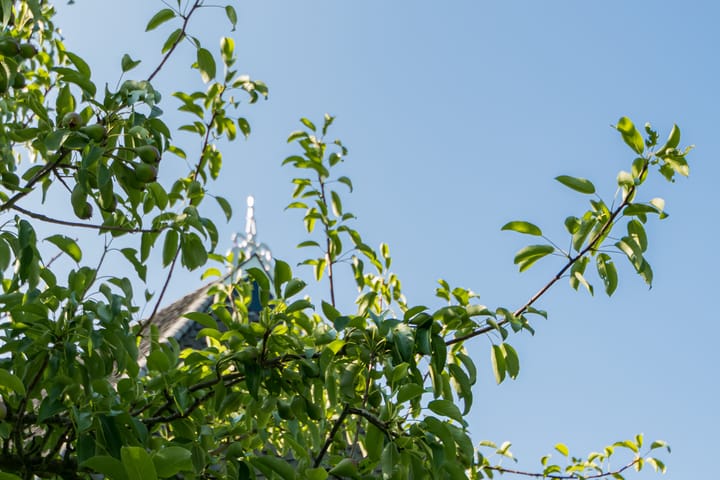 Foto 93 van Blankendalwei 16