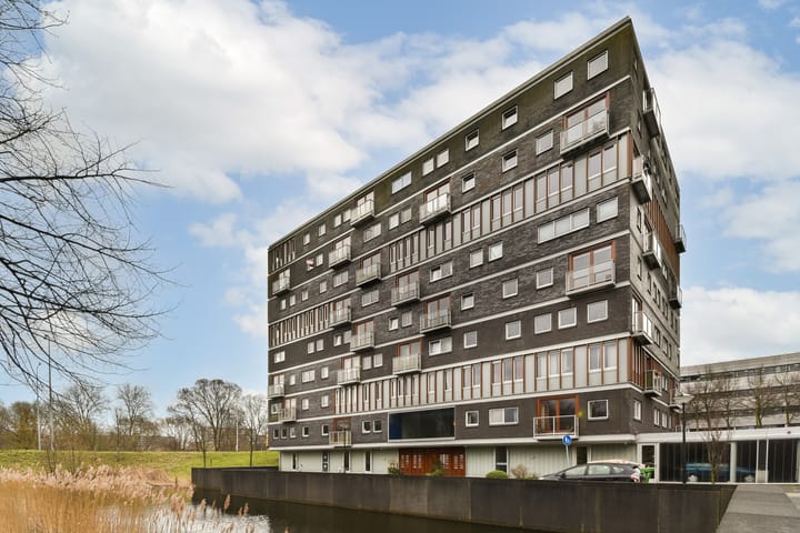 Anna Blamansingel 240