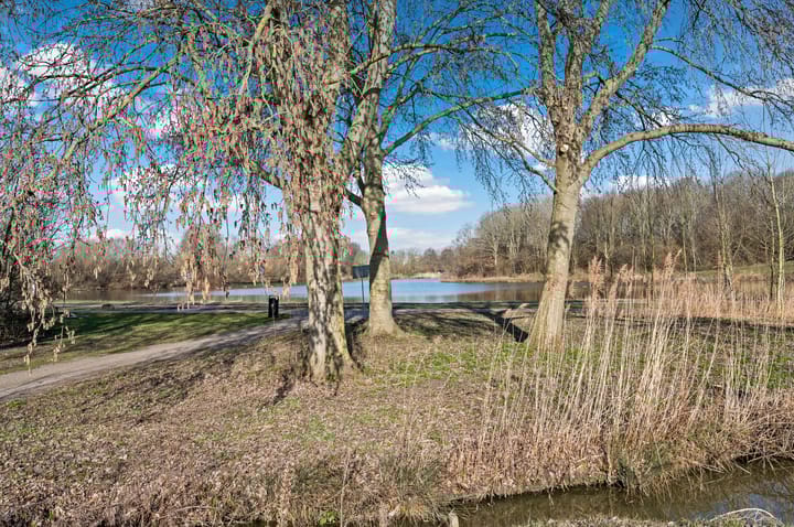 Foto 29 van Parelmoervlinderlaan 87