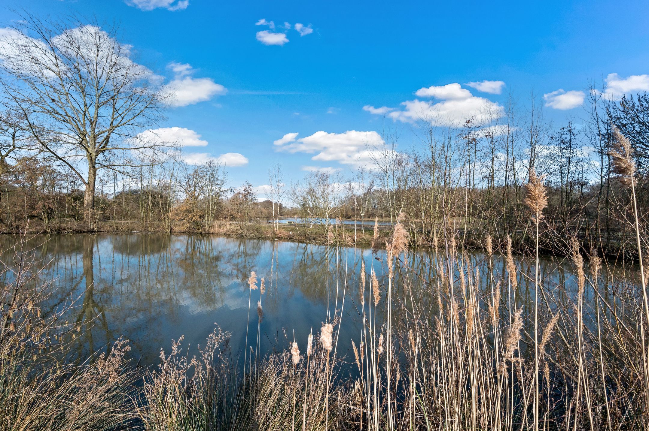 Foto 30 van Parelmoervlinderlaan 87