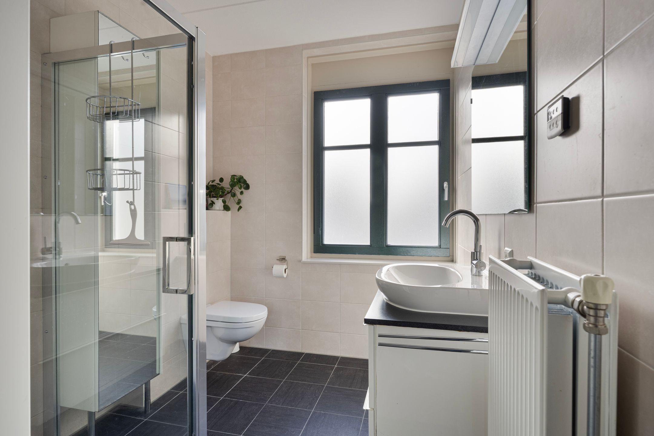 Foto 12 van Biezenoever 3