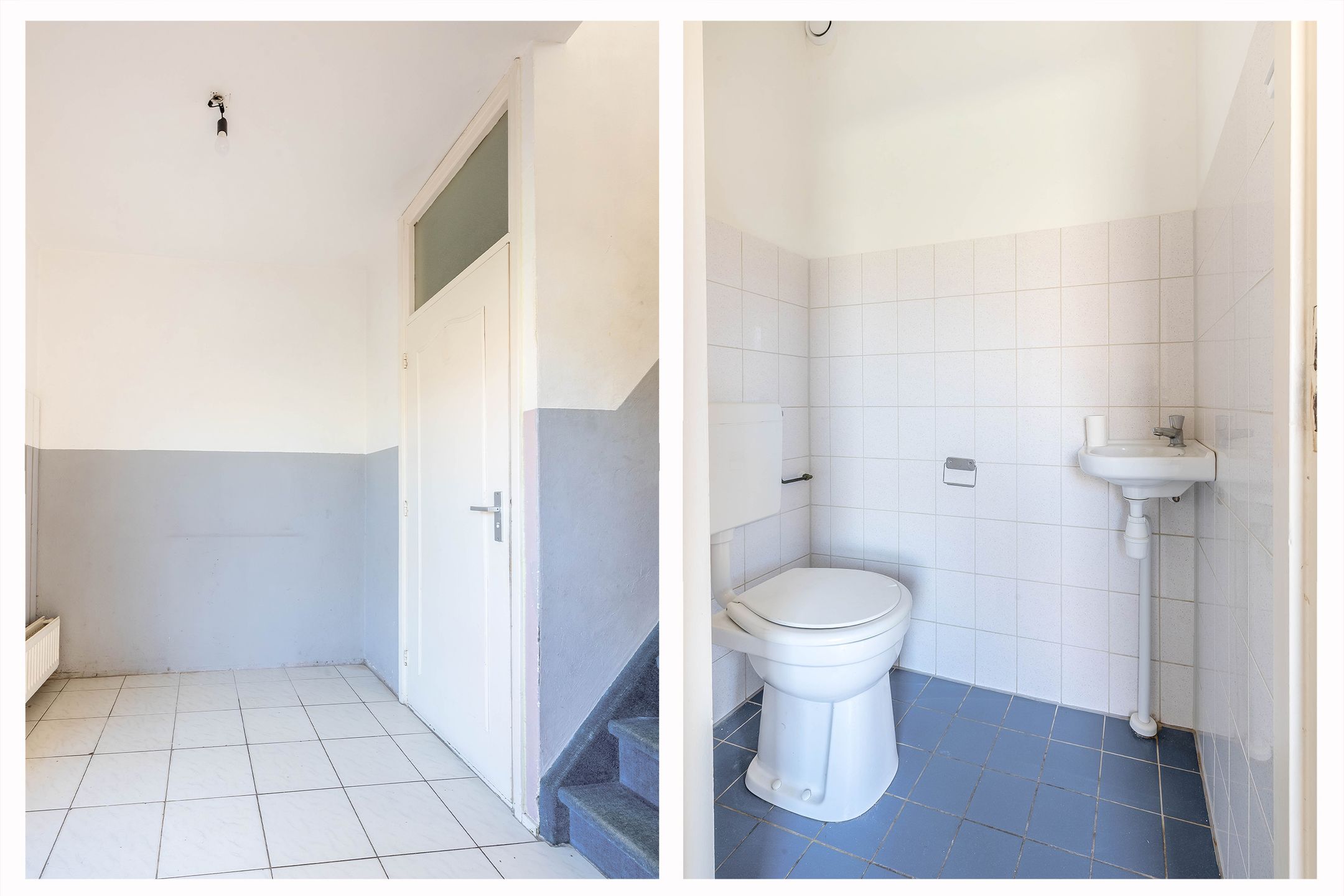 Foto 6 van Meijhorst 5263