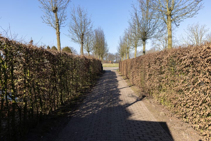 Foto 41 van Lievelderweg 96