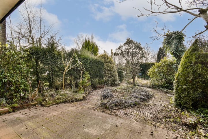 Foto 9 van Bosplaat 29