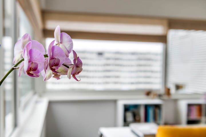 Foto 19 van Marius Bauerstraat 235-E2