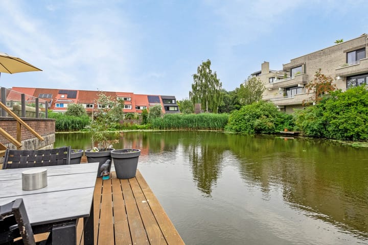 Foto 2 van Libellendans 9