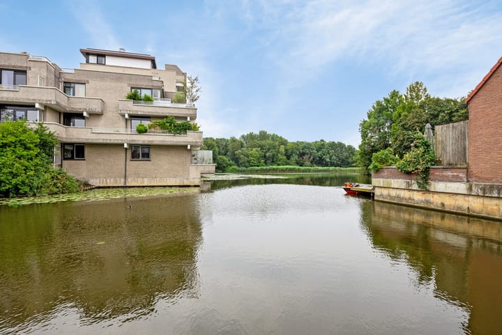 Foto 6 van Libellendans 9