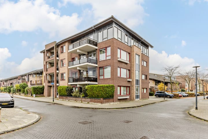 Desertosingel 111