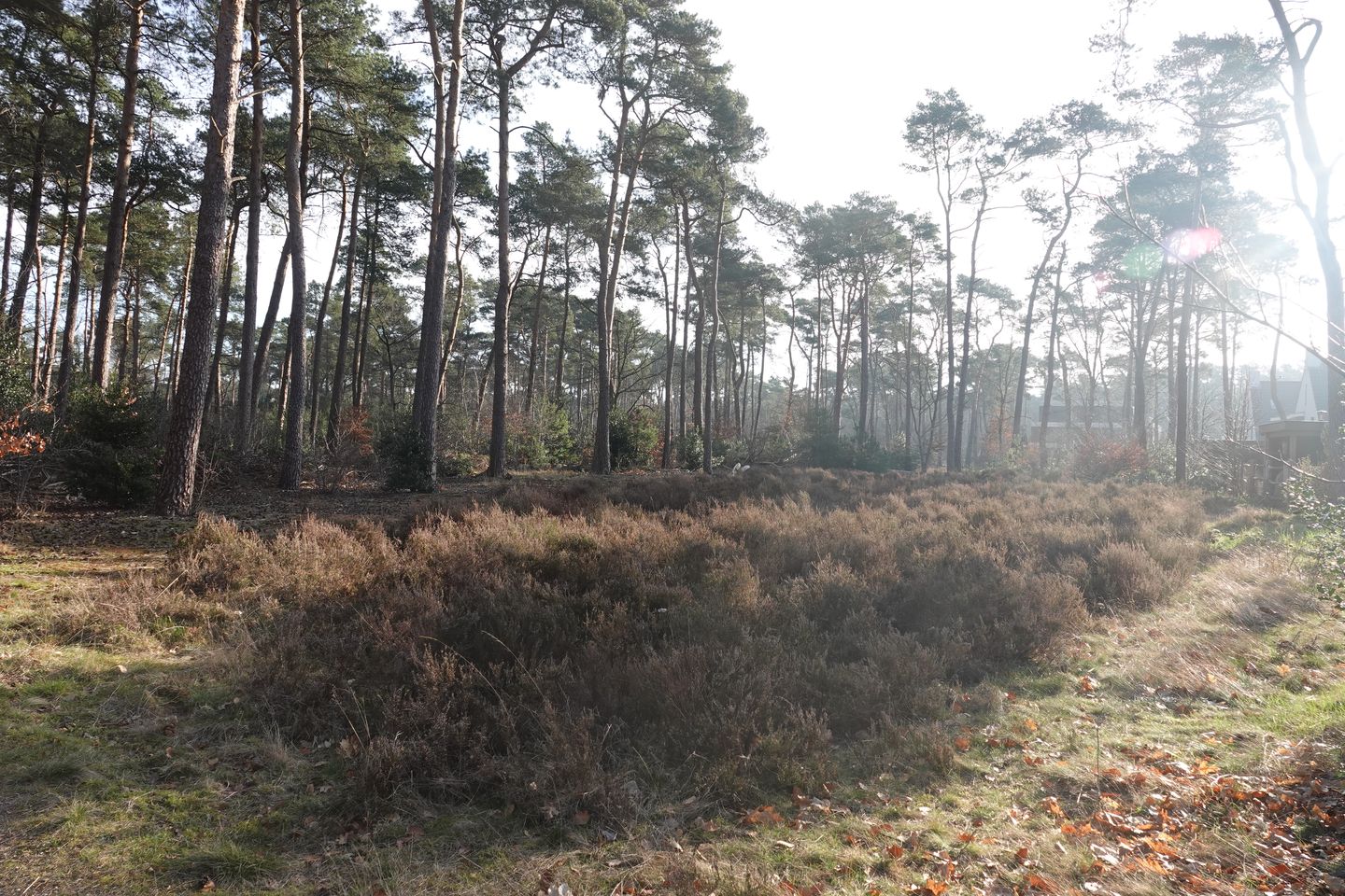 Foto 4 van Prinses Catharina Amalialaan 59