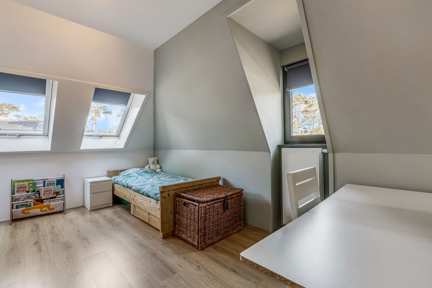 Foto 34 van Prinses Catharina Amalialaan 59