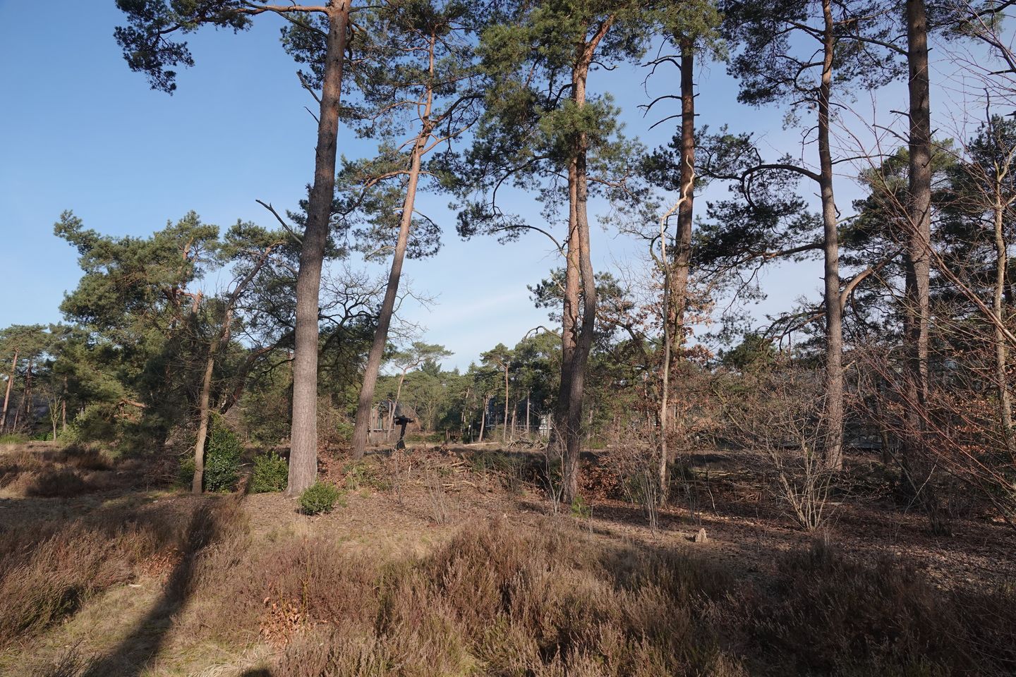 Foto 40 van Prinses Catharina Amalialaan 59