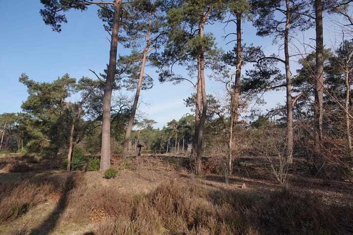 Foto 40 van Prinses Catharina Amalialaan 59