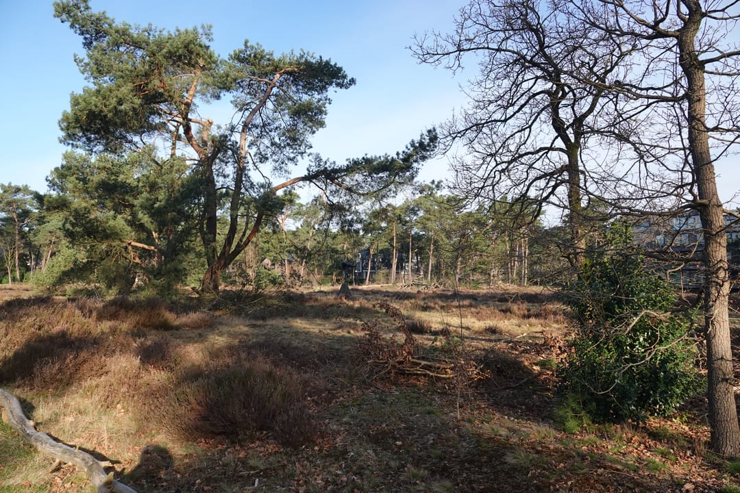 Foto 41 van Prinses Catharina Amalialaan 59