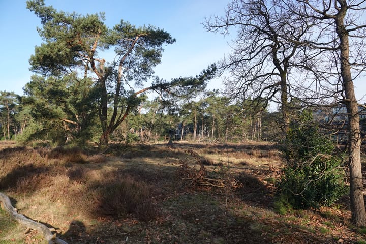 Foto 41 van Prinses Catharina Amalialaan 59