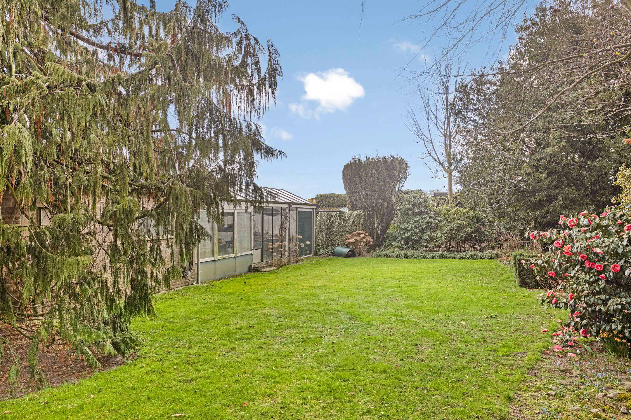 Foto 3 van Wagenstraat 68