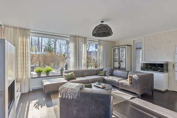 Foto 2 van Kikkerveen 349