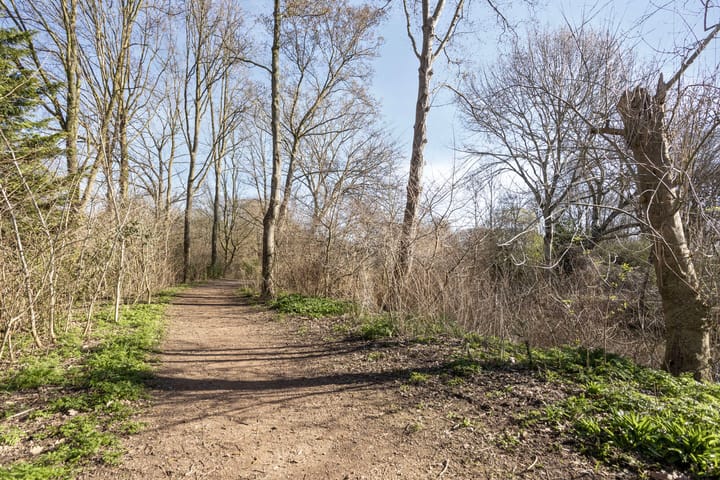 Photo 45 of Kikkerveen 349