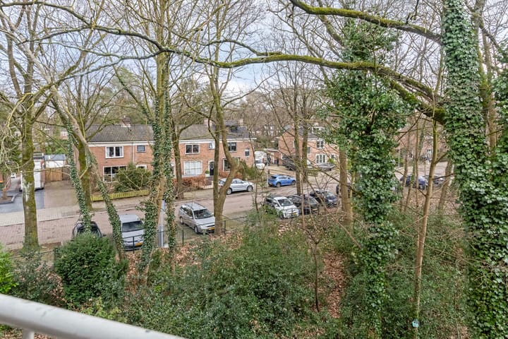 Foto 13 van Anna van Burenlaan 88