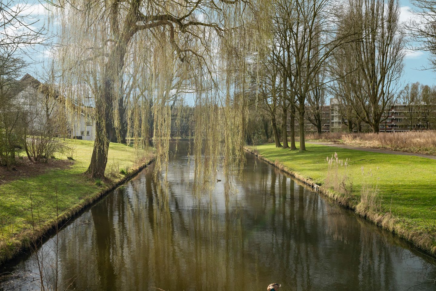 Foto 29 van Ds. O.G. Heldringstraat 33