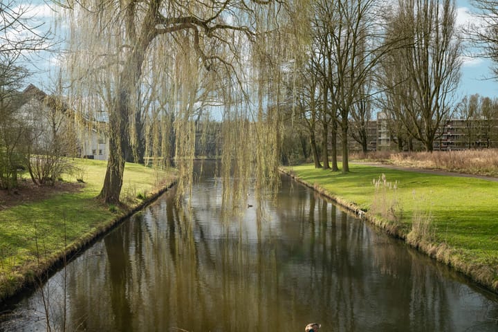 Foto 29 van Ds. O.G. Heldringstraat 33